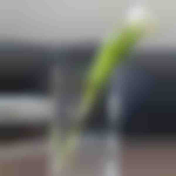 Chic akrilna vaza za cvijeće u obliku knjige | FLOWERFRAME