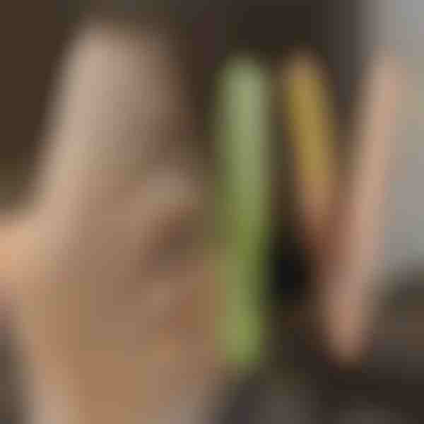 Pegla za ravnanje i kovrčanje kose TWISTLINE