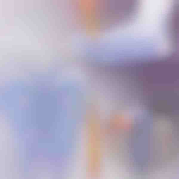 Aktivirajte zdravstvene točke – refleksološke čarape za svakodnevnu masažu | FEETRA